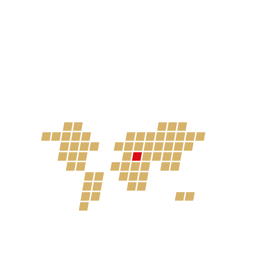 GIF 4